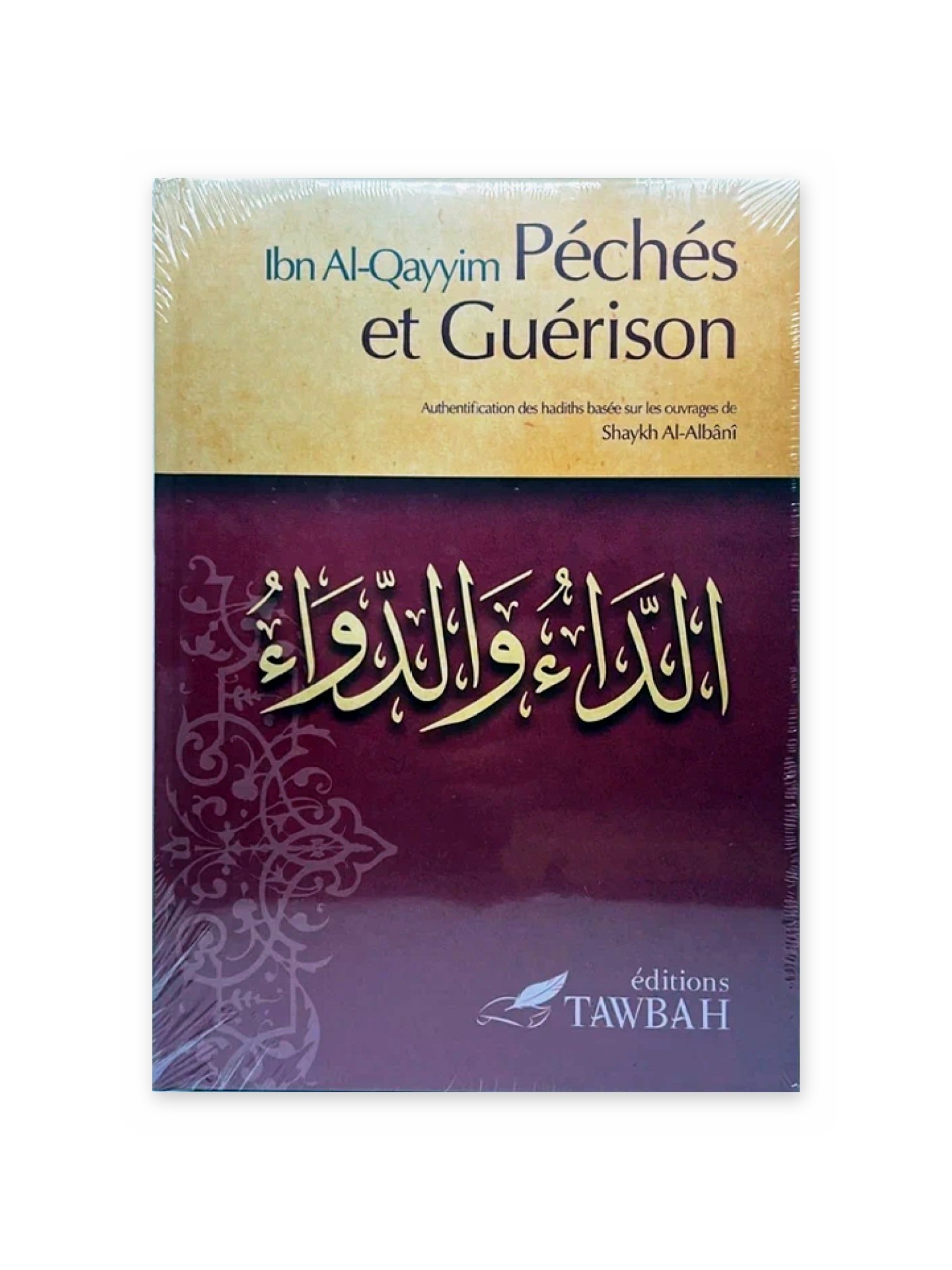 peches et guerison recto peches et guerison recto
